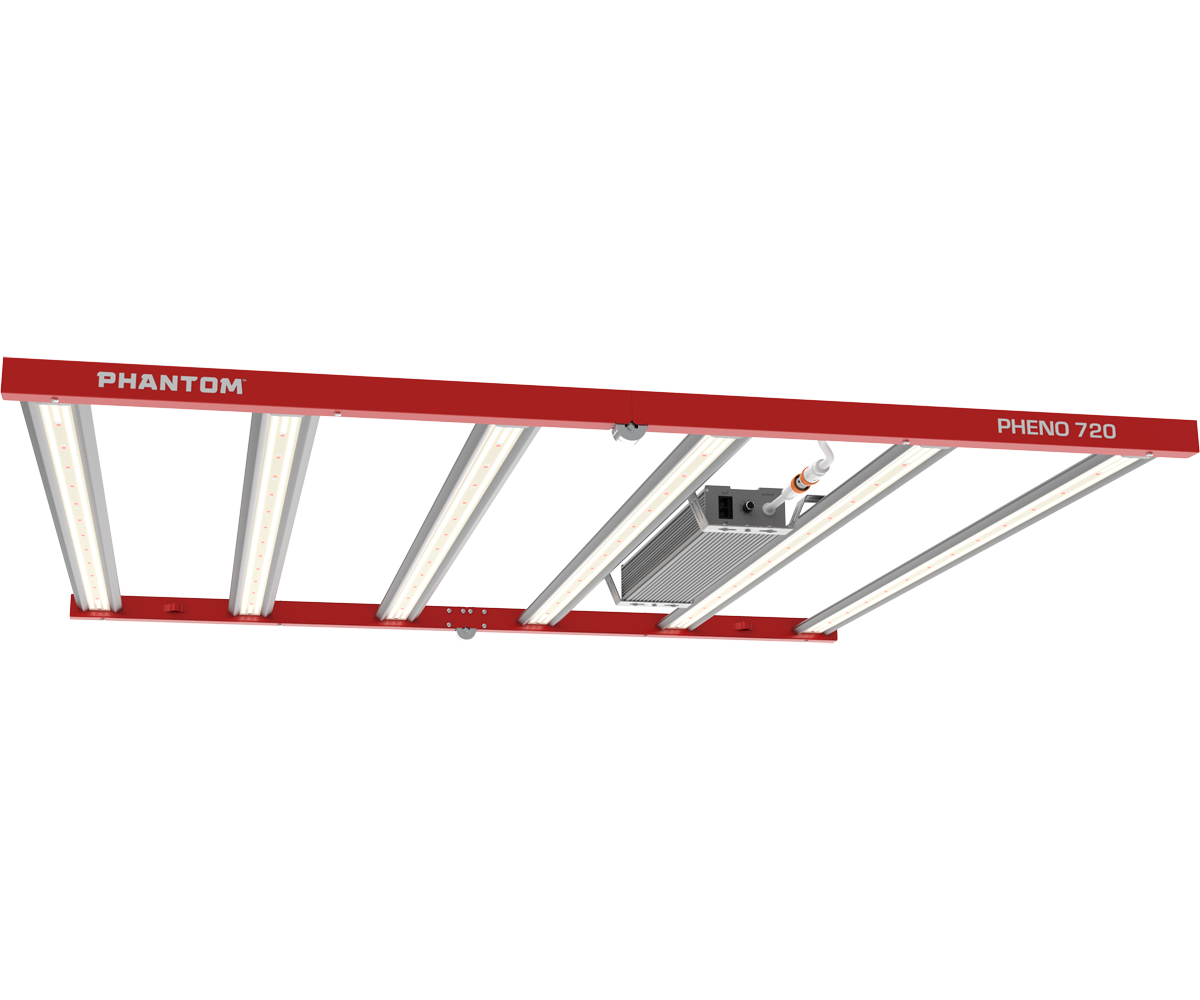 Phantom Pheno - Left